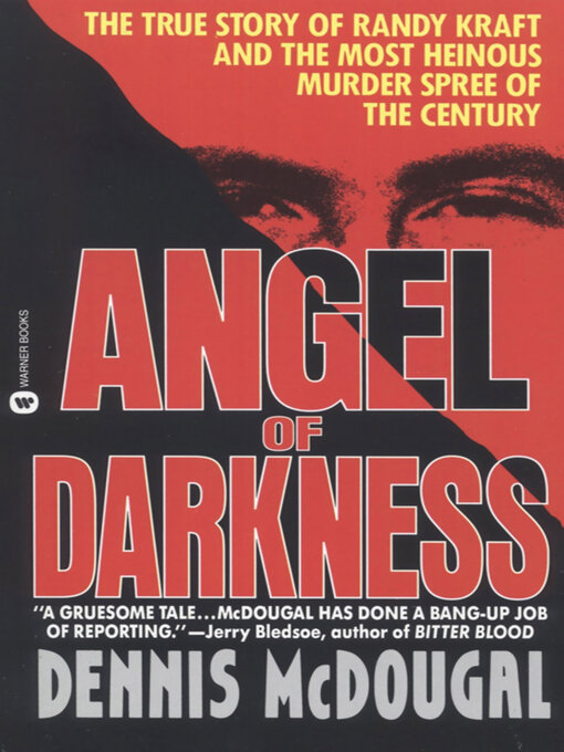 Cover image for Angel of Darkness